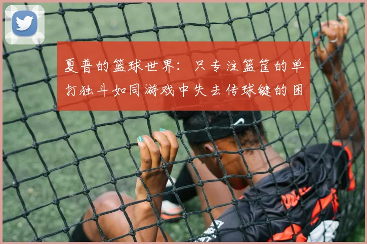 夏普的篮球世界：只专注篮筐的单打独斗如同游戏中失去传球键的困境