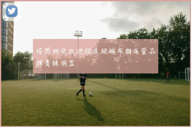 塔图姆受欢迎程度超越布朗高管品牌青睐明显