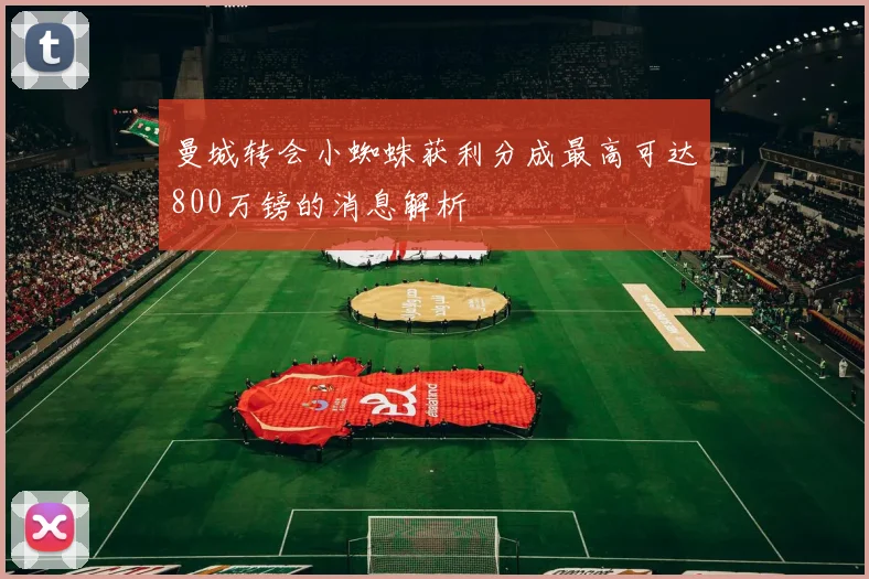 曼城转会小蜘蛛获利分成最高可达800万镑的消息解析