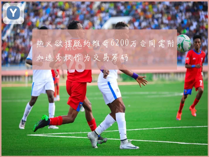 热火欲摆脱约维奇6200万合同需附加选秀权作为交易筹码