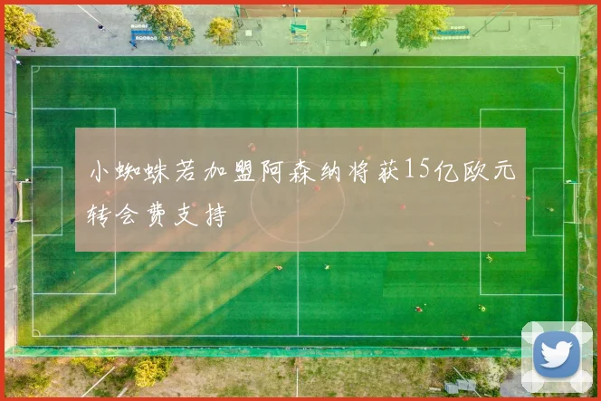 小蜘蛛若加盟阿森纳将获15亿欧元转会费支持